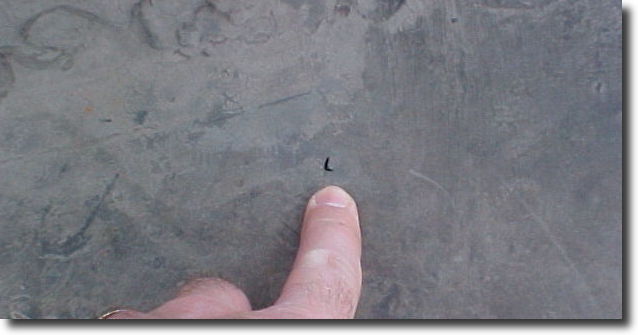 small hole in EPDM rubber roof discovered with roof inspection
