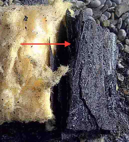 failed roof membrane BUR system